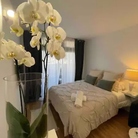 Bonito Y Centrico Apartamento En Puerto De La Cruz Lejlighed Puerto de la Cruz (Tenerife)